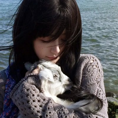 神探福娃六岁半